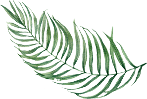 lunch strand hoek van holland