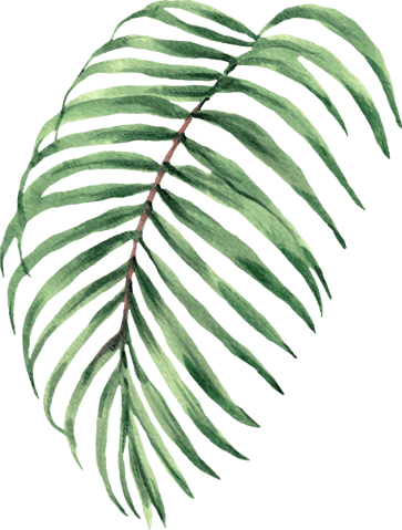 strandtent hoek van holland