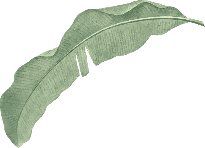 lunch strand hoek van holland